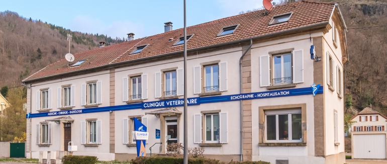 CLINIQUE VETERINAIRE DE MOOSCH : DES NOUVELLES ENCOURAGEANTES